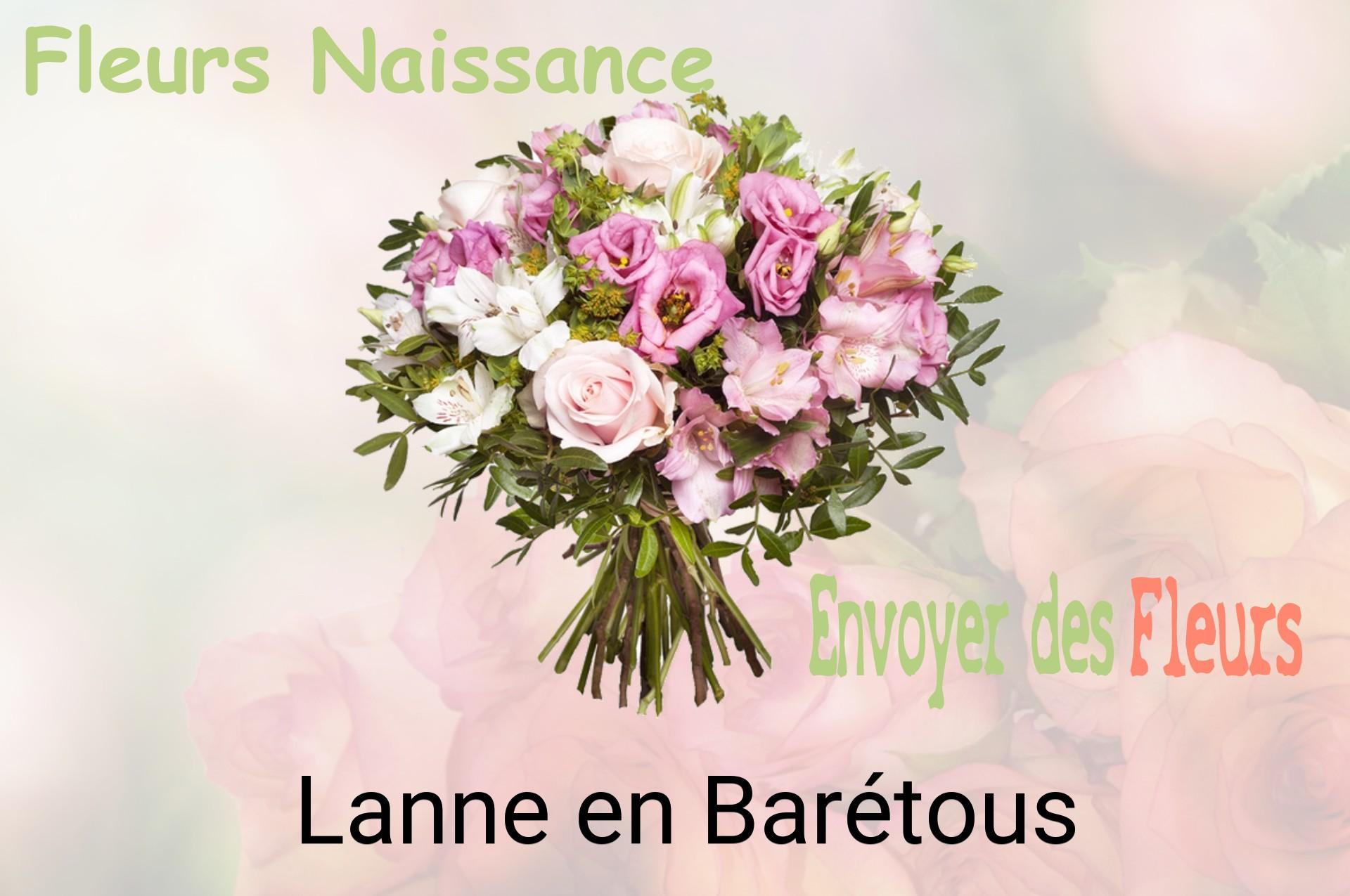 Bouquet de fleurs de naissance livré à Lanne-en-Barétous